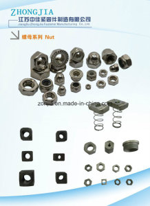 Hex Nuts/ Square Nuts/ Round Nuts